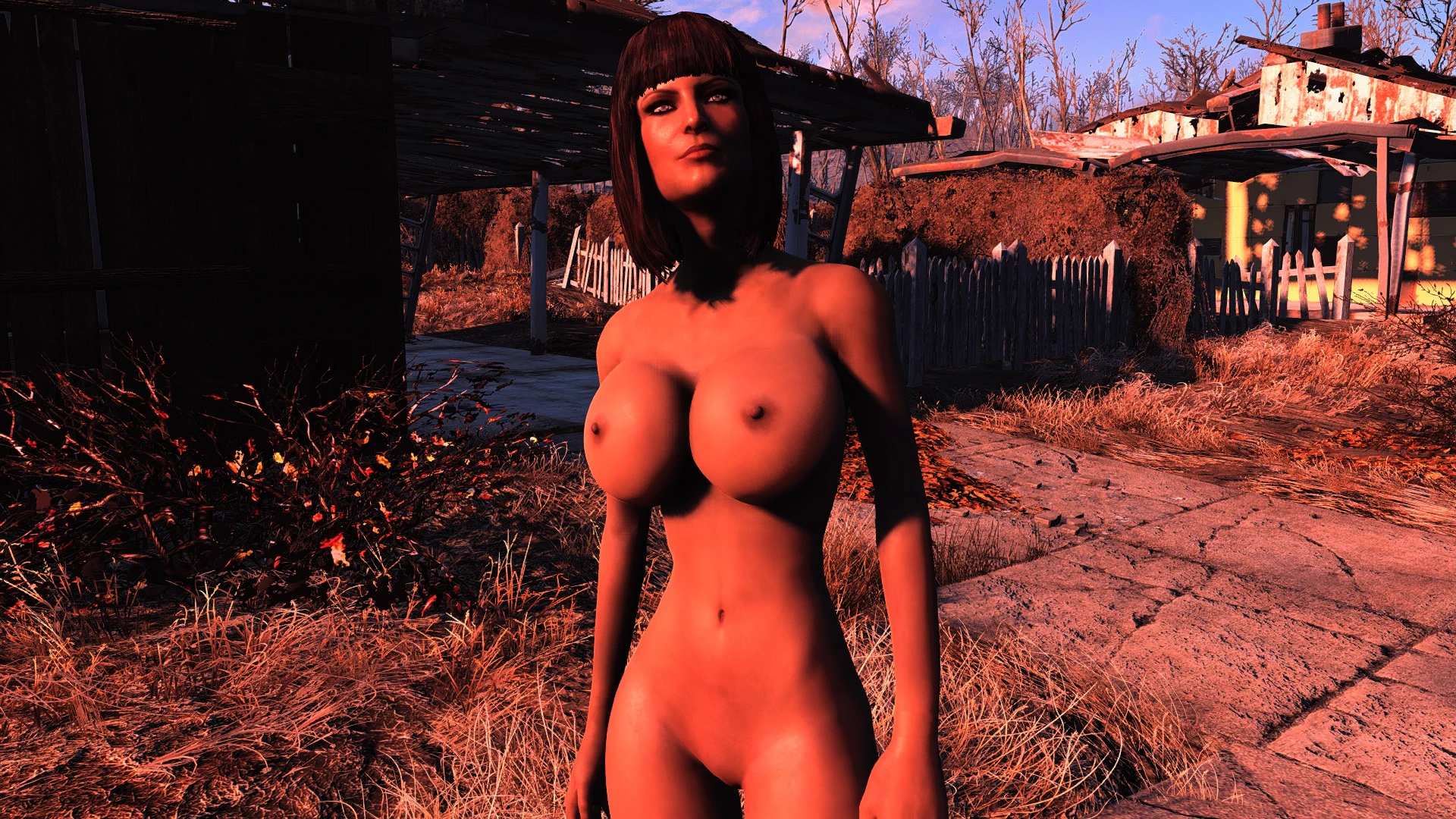 Fallout 4 моды голая фото 63
