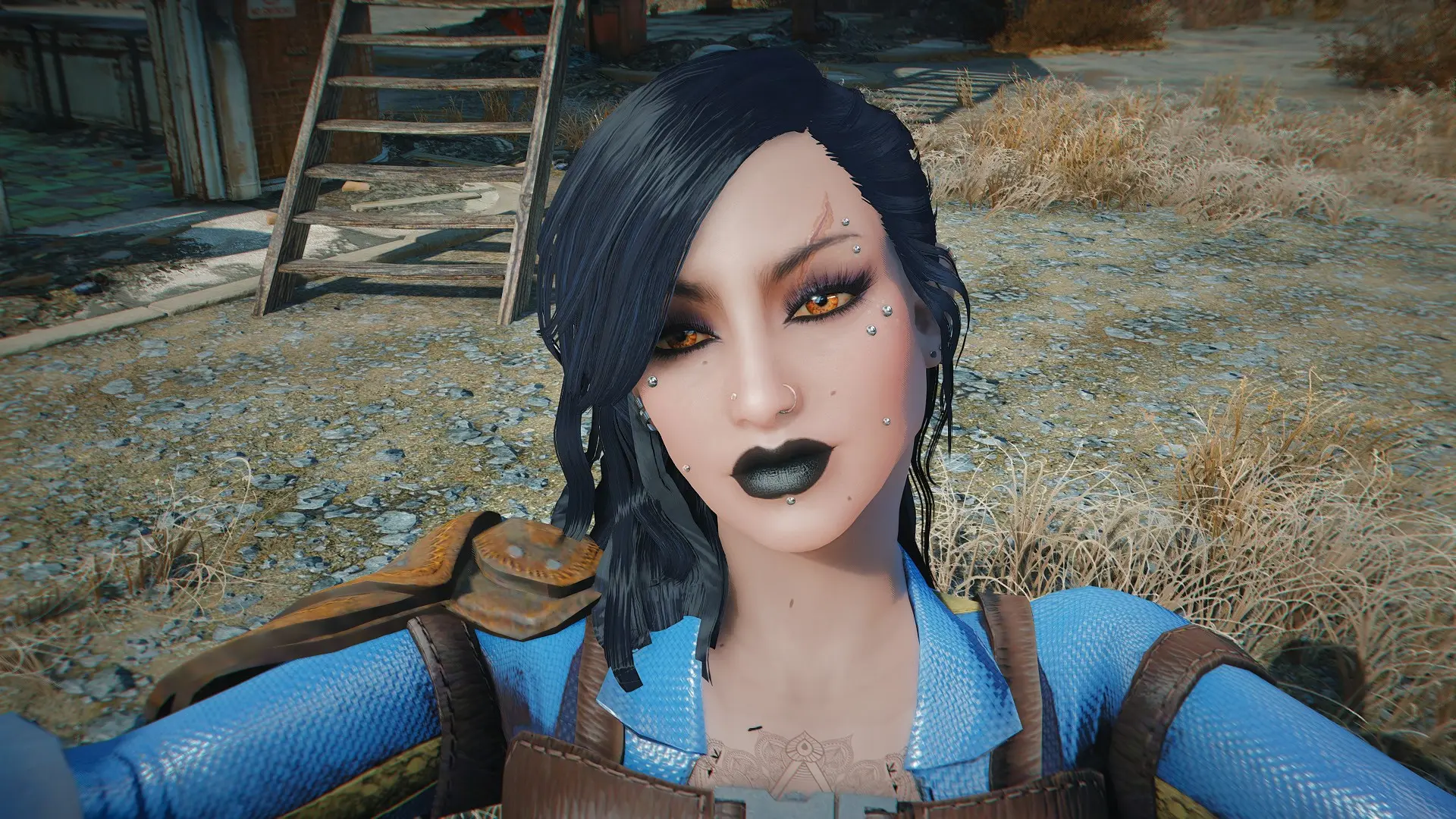 Satisfactory Facial Piercings at Fallout 4 Nexus - Mods and community