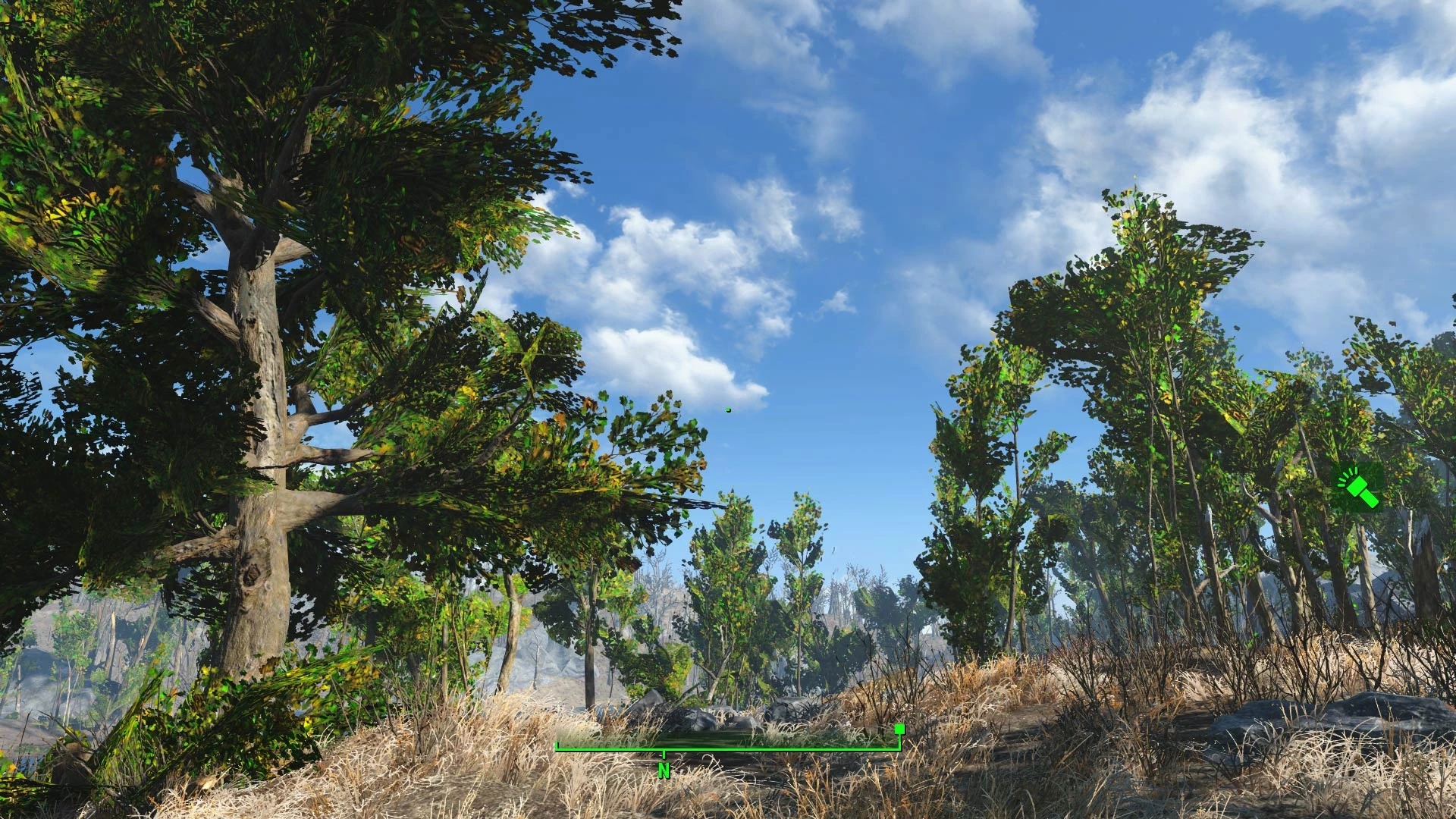 Fallout 4 деревья и трава фото 26