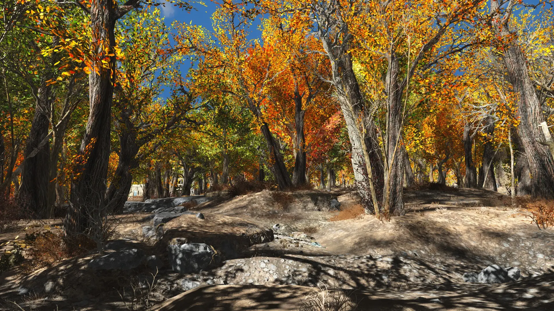 Autumn Forest Overgrowth at Fallout 4 Nexus - Mods and community