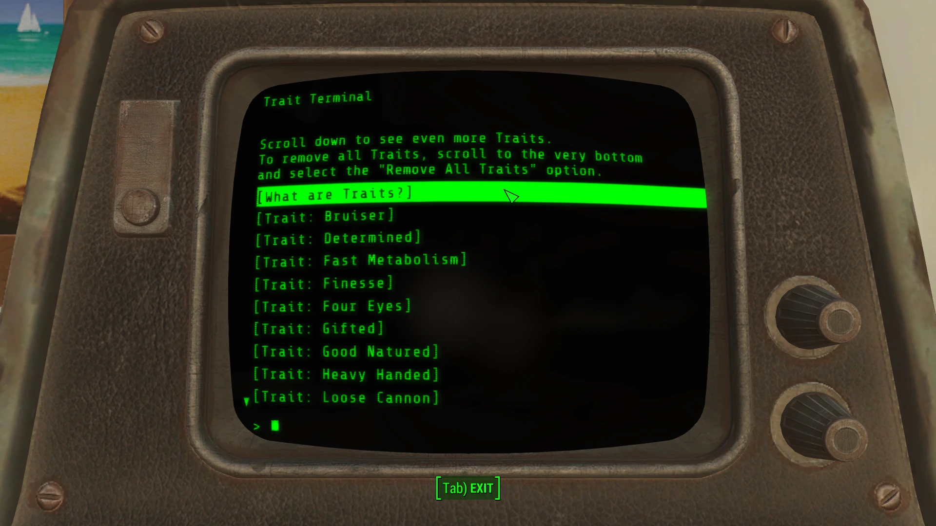 Fallout 4 88 терминал фото 20