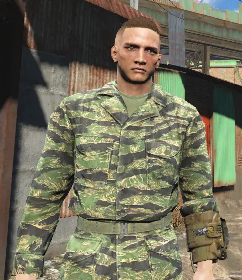 Camouflage Pack 1 At Fallout 4 Nexus - Mods And Community