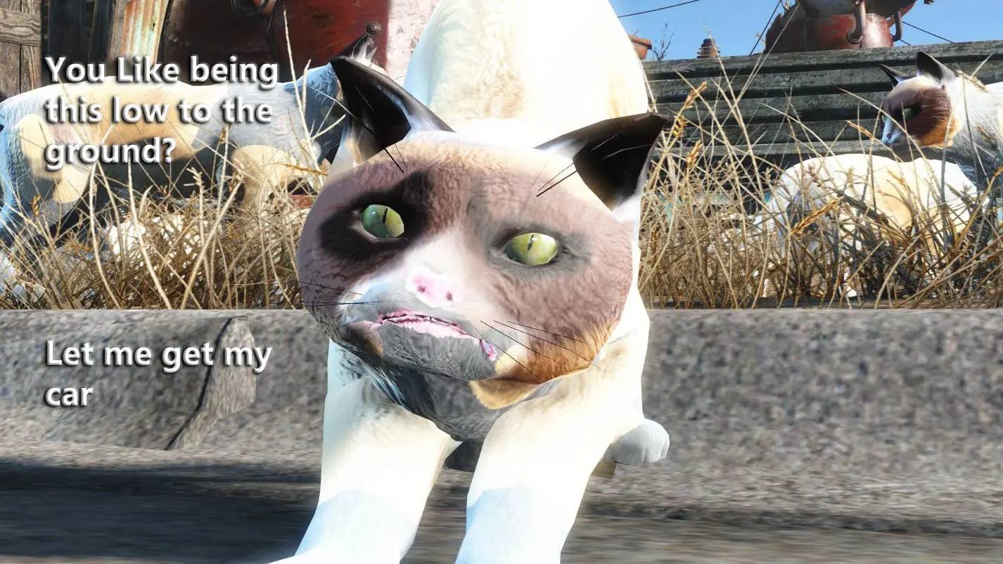 Grumbly Cat at Fallout 4 Nexus - Mods and community