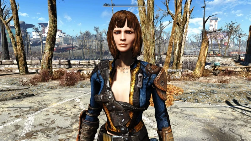 Hot Mama Settlers And Bandits At Fallout 4 Nexus Mods.