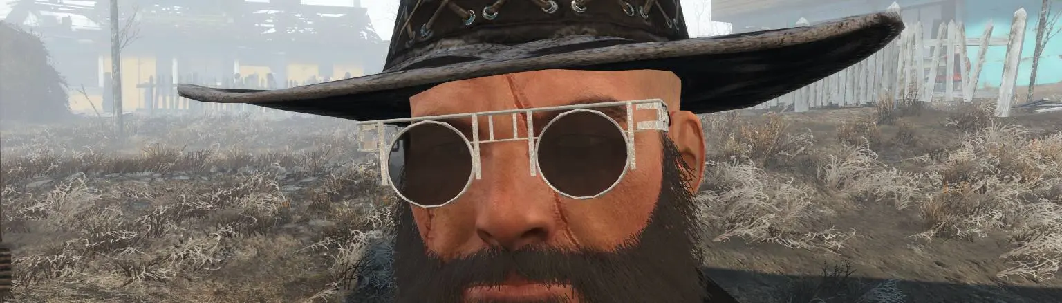 3 Different Sunglasses At Fallout 4 Nexus Mods And Community