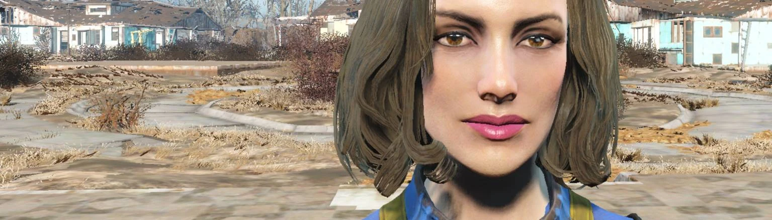 Face Preset Nora 15 at Fallout 4 Nexus - Mods and community