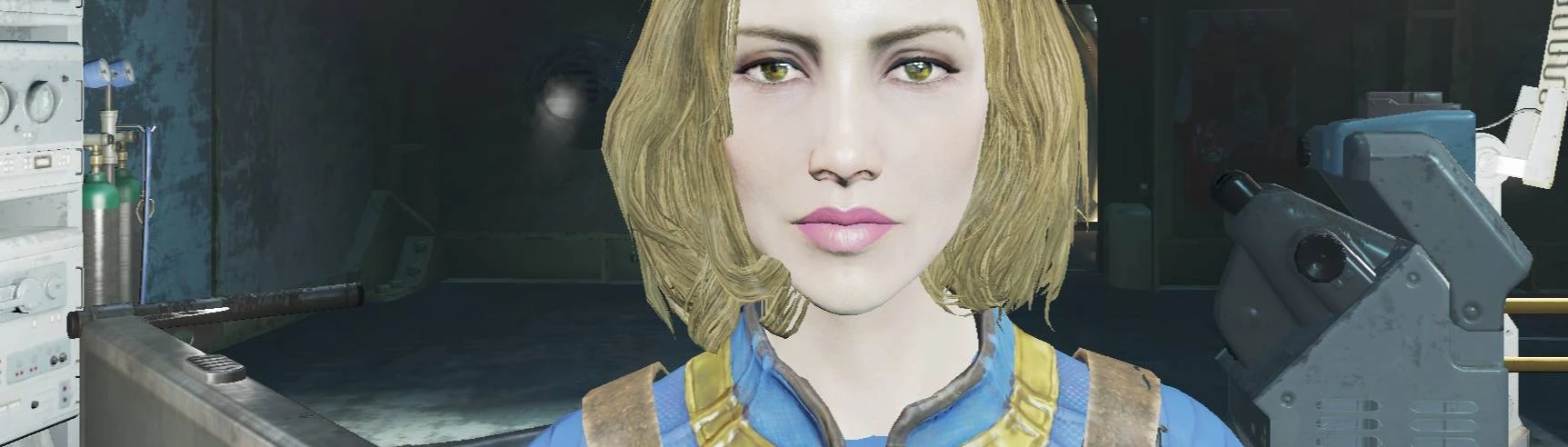 Face Preset Nora 16 at Fallout 4 Nexus - Mods and community