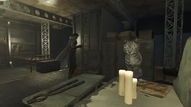 Silently Pleased Cat