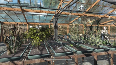 Clean Settlement Greenhouses v0 3 0 s3