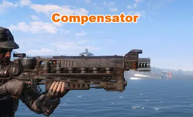 Compensator