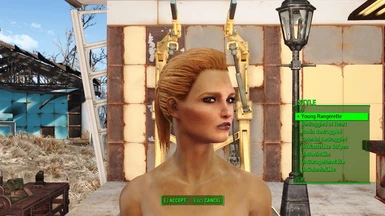 Caelan and Roy - Two characters face presets at Fallout 4 Nexus