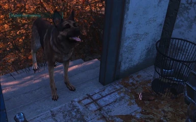 Yogscast Simon Dogmeat Replacer