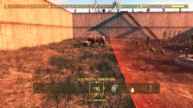CC brahmin