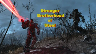 Stronger Brotherhood