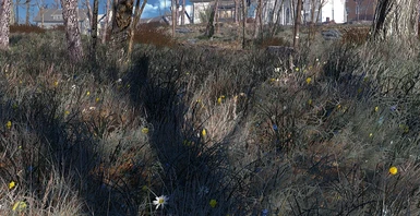 Spring in the Commonwealth 1-6