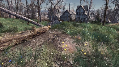 Spring in the Commonwealth 1-7-3