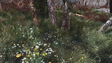 Spring in the Commonwealth 1-7-3