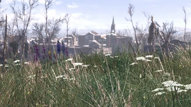Spring in the Commonwealth 1-9-1