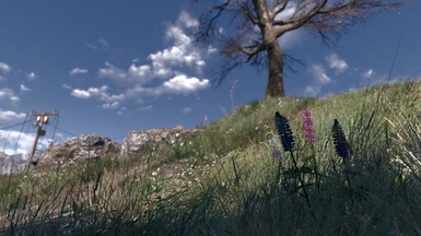 Spring in the Commonwealth 1-9