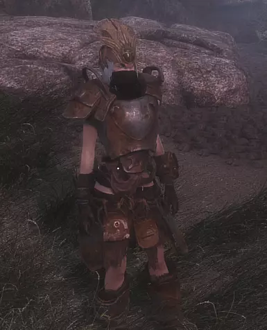 Body and Leg guards