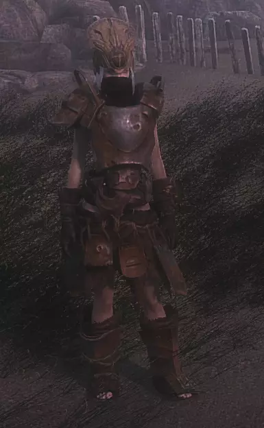 Body and Leg guards