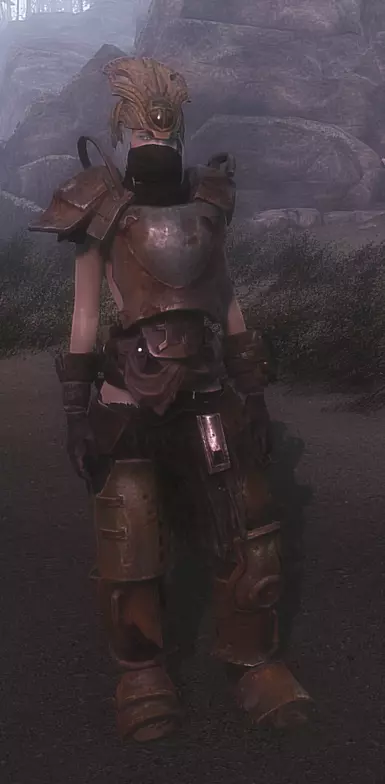 Leg Armor and Body