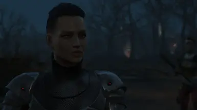 Caelan and Roy - Two characters face presets at Fallout 4 Nexus