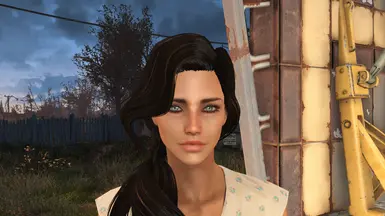 Caelan and Roy - Two characters face presets at Fallout 4 Nexus