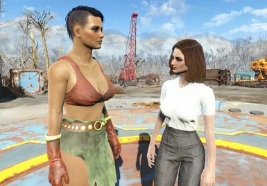 Fallout 4 transgender mod