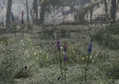 so many lovely flowers - great mod