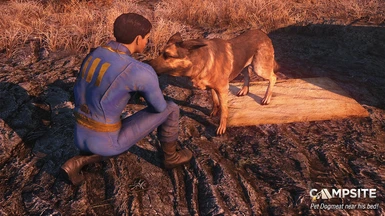 in game pet dogmeat