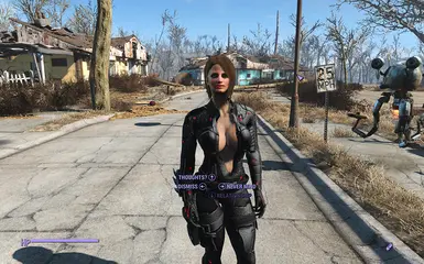 fallout 4 mods how to