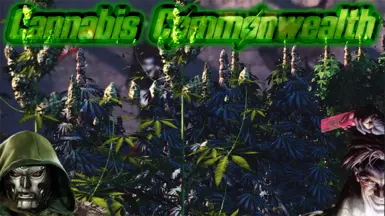 Cannabis Commonwealth banner