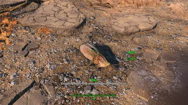 ScreenShot49