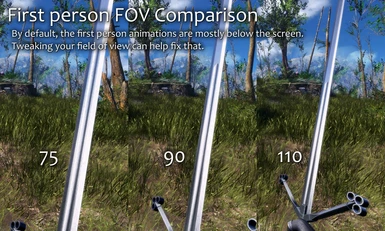 Field of View Settings