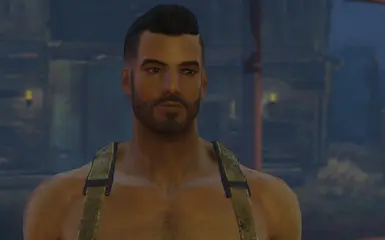 Handsome Hank Attractive Male Preset And Save Game At Fallout Nexus