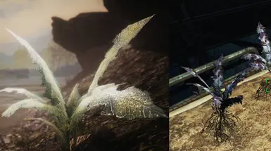 Nirnroot in Skyrim and Fallout 4