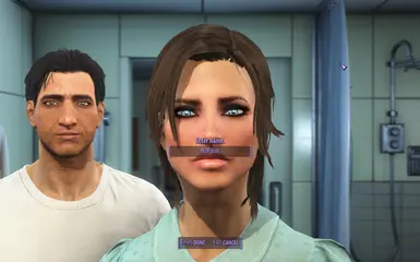 fallout 4 gender change mod