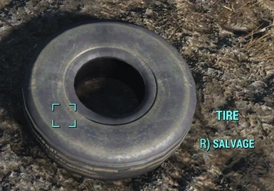 Salvage Tire