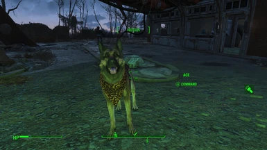 fallout 4 rename dog