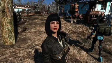 Fallout 4 more than one companion mod ps4