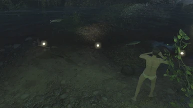 Fish and underwater lights added