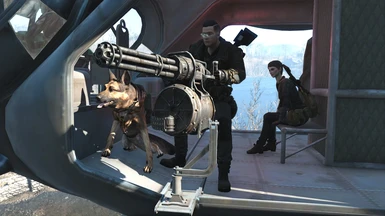 Player Dogmeat and Companion on Vertibird