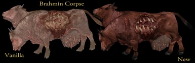Corpse Nifskope