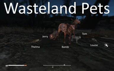 Wasteland Pets