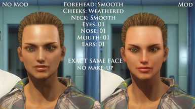 fallout 4 face texture