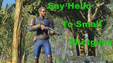 Say Hello To Small Shotguns