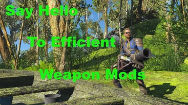 Say Hello To Efficient Weapon Mods