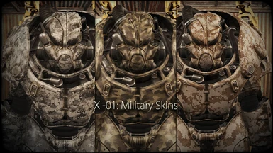 x 01 military skins