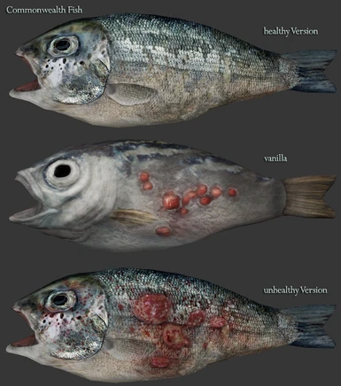 Commonwealth Fish Comparison - pick your favourite